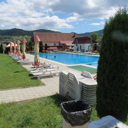 Pensiunea Cetina Brad  Экстерьер фото