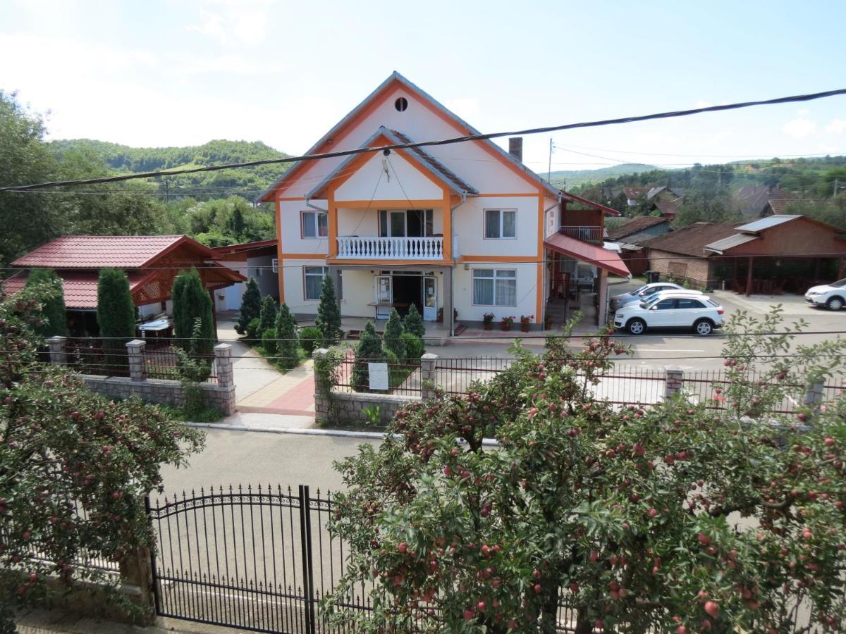 Pensiunea Cetina Brad  Экстерьер фото