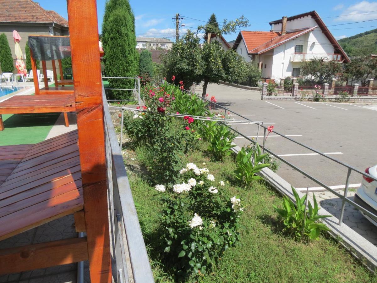 Pensiunea Cetina Brad  Экстерьер фото