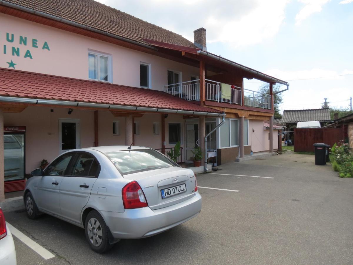 Pensiunea Cetina Brad  Экстерьер фото