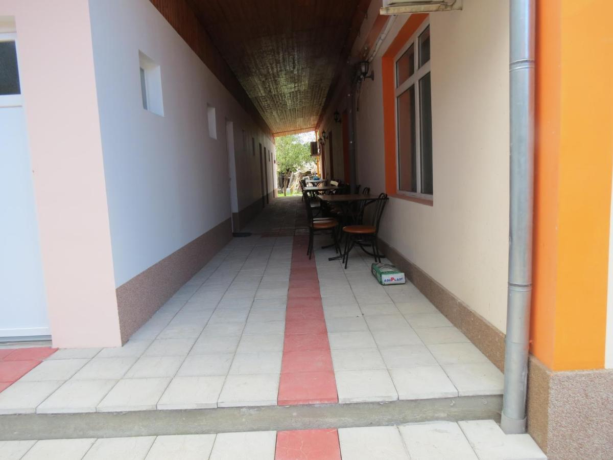 Pensiunea Cetina Brad  Экстерьер фото