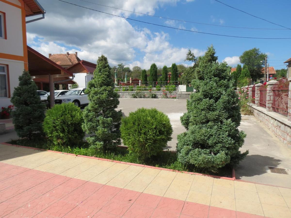 Pensiunea Cetina Brad  Экстерьер фото