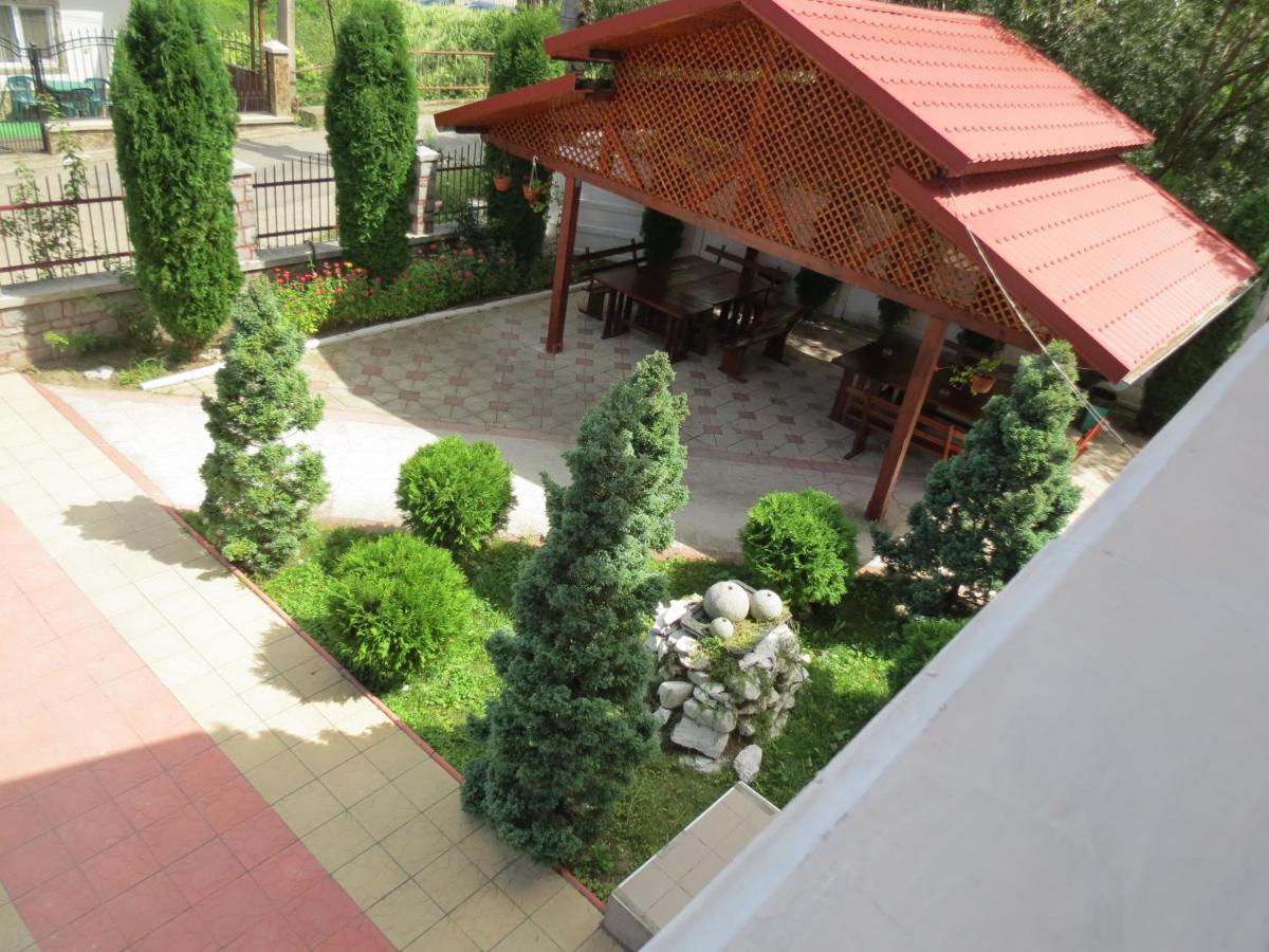 Pensiunea Cetina Brad  Экстерьер фото