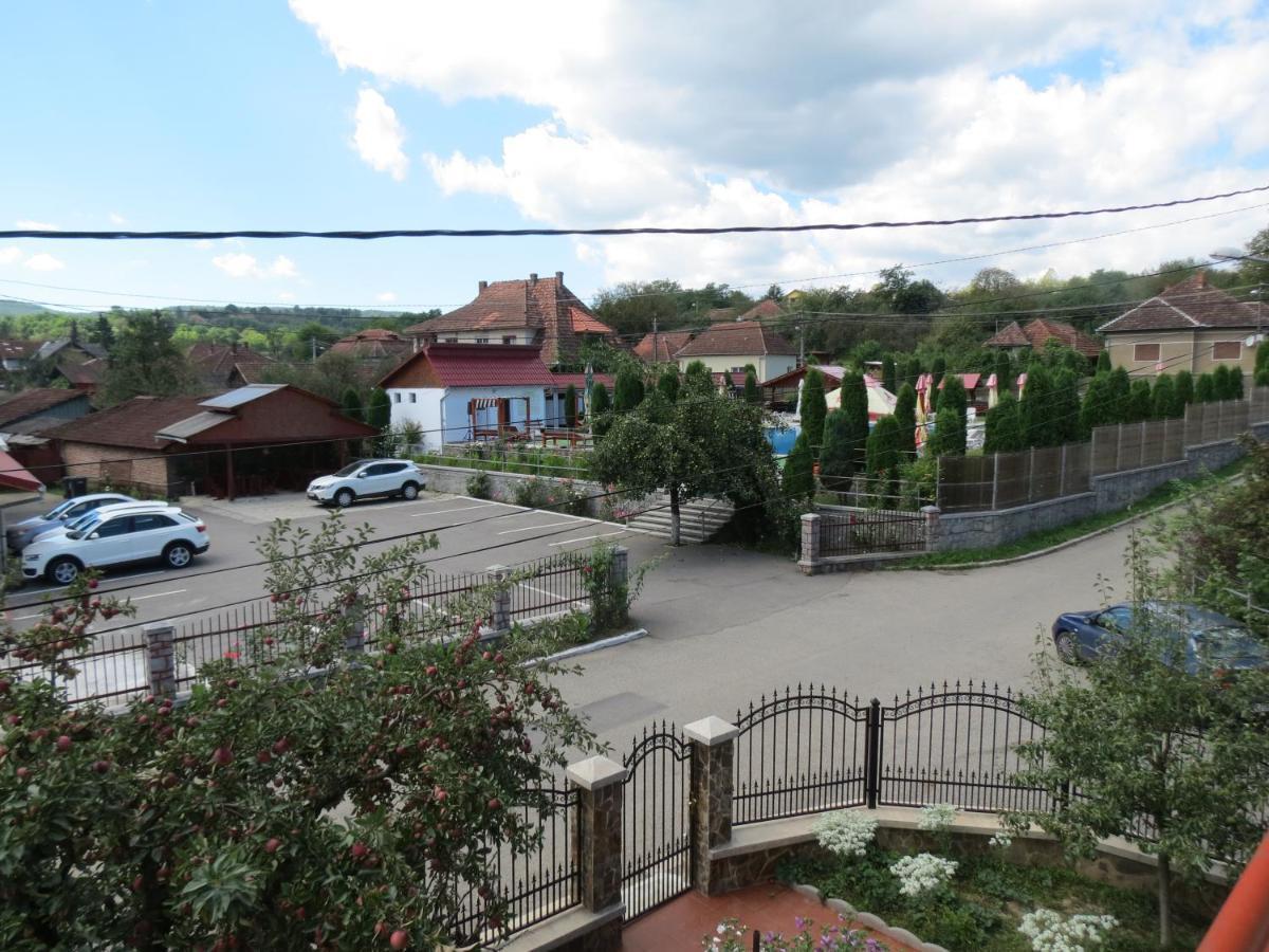Pensiunea Cetina Brad  Экстерьер фото