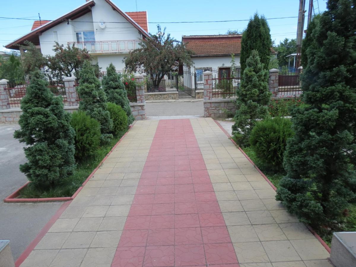 Pensiunea Cetina Brad  Экстерьер фото