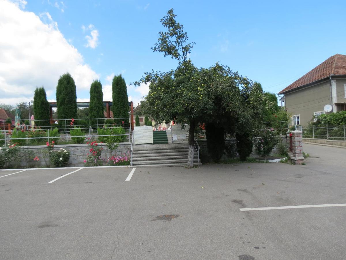 Pensiunea Cetina Brad  Экстерьер фото