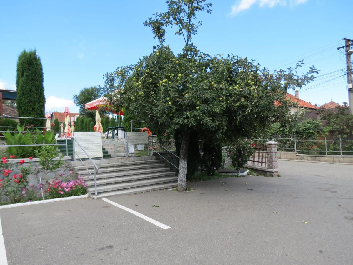 Pensiunea Cetina Brad  Экстерьер фото
